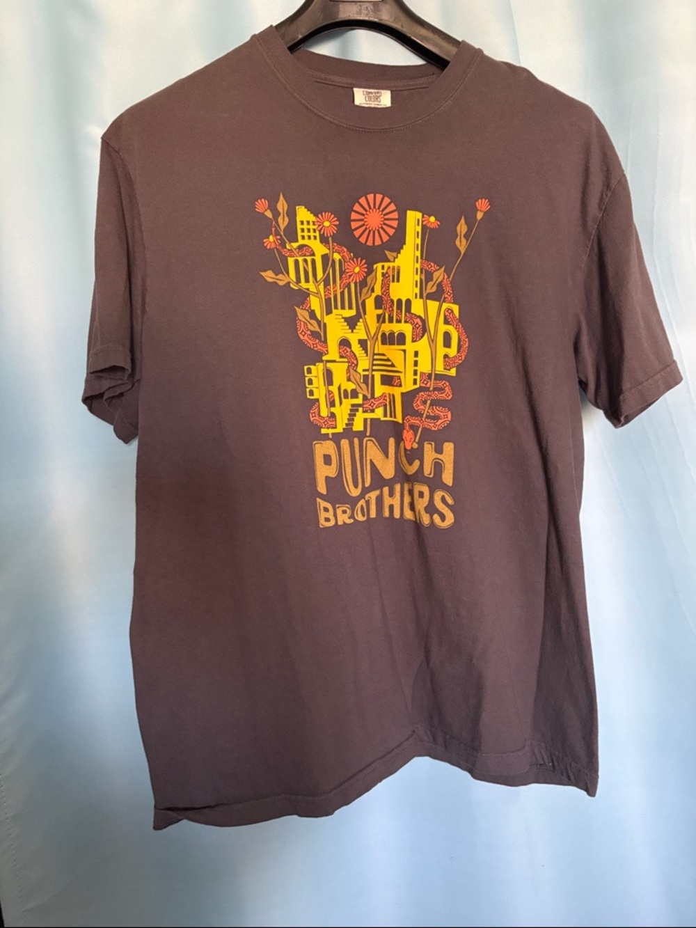 Punch Brothers Band Comfort Colors Charcoal Gray Short-Sleeve Tee